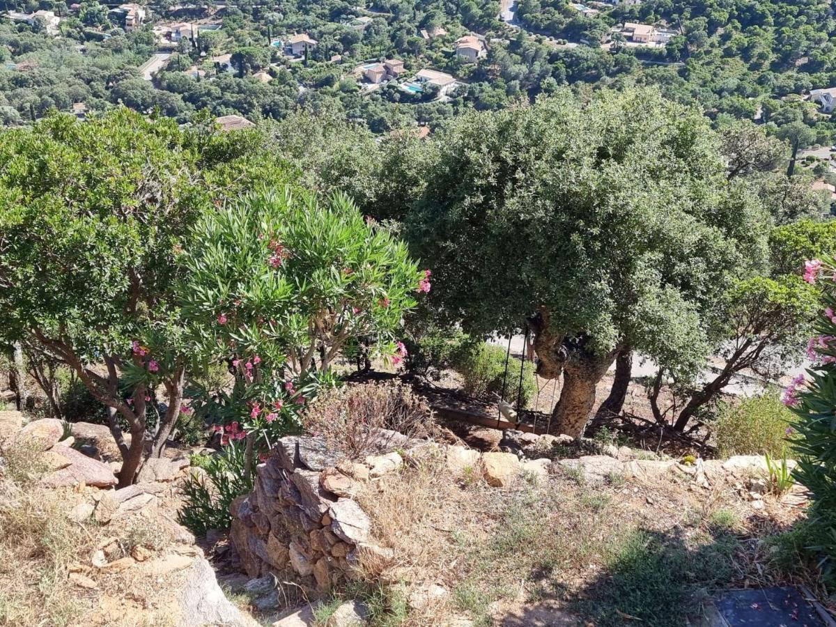 Holiday Home Les Terrasses De L'Eau Blanche-4 By Interhome Cavalaire-sur-Mer Esterno foto